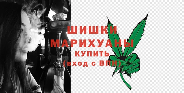 амф Богородицк
