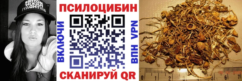 Галлюциногенные грибы прущие грибы  blacksprut ссылка  Вятские Поляны 